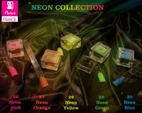 neon collection.jpg