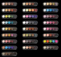 choix palettes pbi.jpg