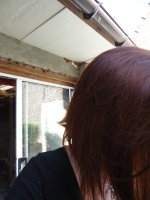 cheveux roux2 003.JPG