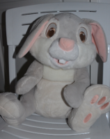 panpan.PNG