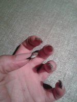 2013-11-16 00.04.16.jpg