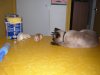 DSCN3004.jpg