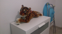 ForumRunner_20140421_004834.png