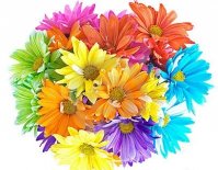 bouquet multicolore.jpg