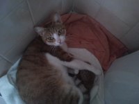 2014-05-12 15.42.45.jpg