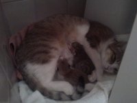 2014-05-10 20.11.18.jpg