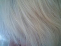 2014-05-03 14-42-22.718.jpg