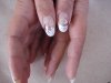 DSC04726.jpg