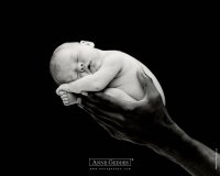annegeddes_017.jpg