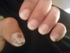 DSC00335.jpg