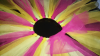 ForumRunner_20140703_212529.png