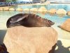 marineland.jpg