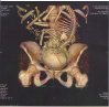 scanner-2.jpg