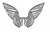 mes ailes.jpg