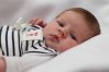 IMG_0393haiden.JPG