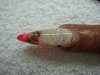 DSC01582.jpg