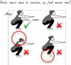 ProperSquats.png