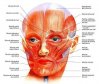 01-visage-botox.jpg