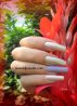 ongles 3006.jpg