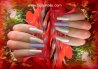 ongles 3006 2.jpg