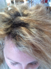 upload_2017-1-18_10-18-56.png upload_2017-1-18_10-18-56.png