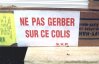 insolite_gerber.jpg