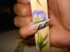 DSC01783.jpg