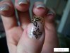 100_2881.jpg