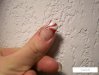 100_2925.jpg