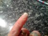 ongle bombé 021.jpg
