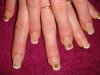 DSC01426.jpg
