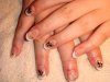 DSC01431.jpg
