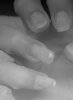 P271208_17.00.jpg