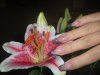 DSCN1054.jpg