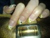 DSC00098.jpg