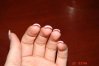 DSC08478.jpg