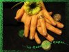 Photo 028 copie.jpg