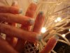 DSC01483.jpg