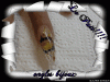 blogtrucastuce_fr_563CC9.gif