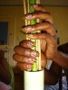 DSC03771.jpg