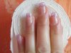 Photo 487.jpg