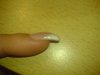 DSC01026.jpg