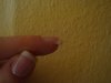 DSC00015.jpg