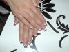 DSC00252.jpg