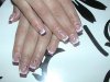 dsc00250.jpg