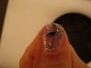 DSC02459.JPG