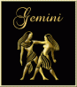 Gemini.gif