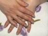 DSC00280.jpg