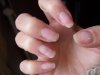 100_4094.jpg