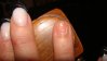 DSC04990.jpg